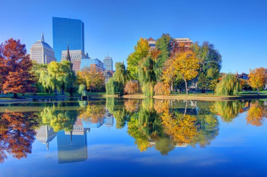 Best of Boston: Full-Day Private Tour - “Best of Boston” lunch choices: free time that actually helps