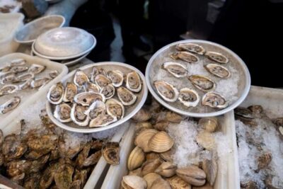 Boston: Guided Seafood Tasting and History Tour - Harborwalk Views and a Quick Orientation Along the Water