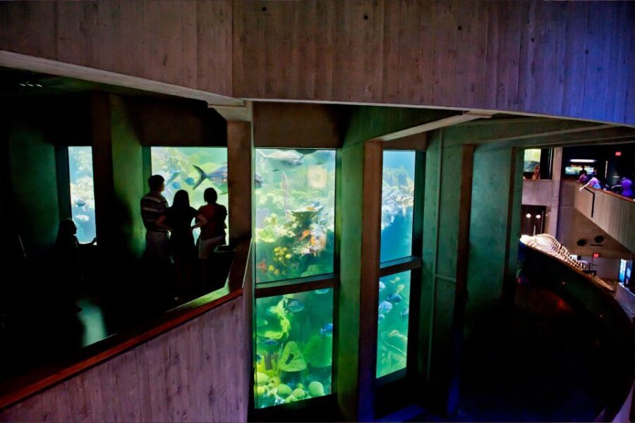 Boston Pass: Save up to 50% - Includes Franklin Park Zoo - The included lineup that gives this pass its punch
