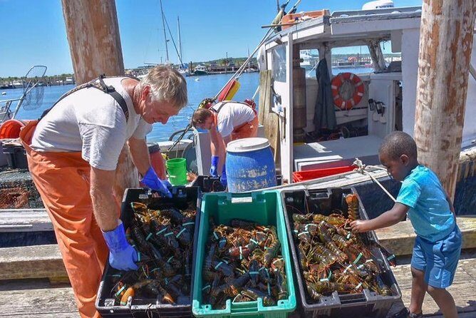 Boston to Kennebunkport with Optional Lobster Tour - Key Points You’ll Care About