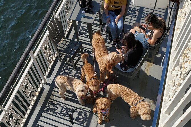 Dog Day of Summer Harbor Cruise in Boston - What you’ll see from the water: Logan, Fish Pier, and USS Constitution