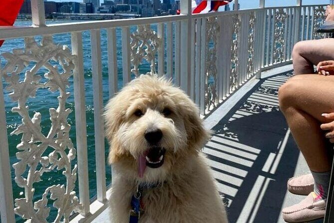 Dog Day of Summer Harbor Cruise in Boston - Best for families, first-timers, and dog owners who want views