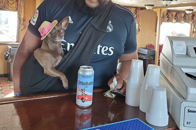 Dog Day of Summer Harbor Cruise in Boston - Onboard commentary in English: how it improves the ride