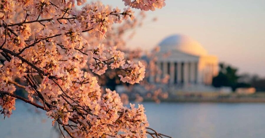 From Boston: 4-Day Tour to New York, D.C.&Niagara Falls - Key highlights you’ll feel right away