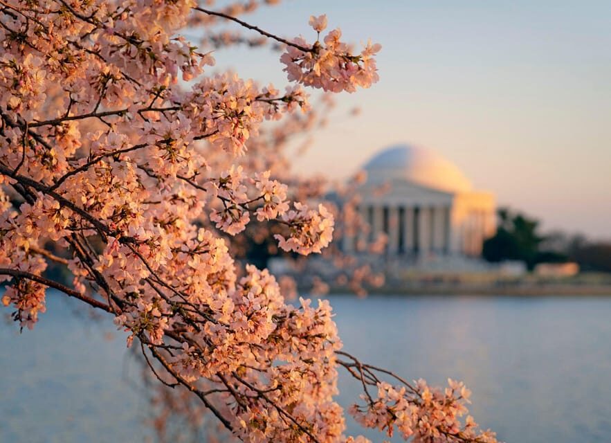 From Boston: 4-Day Tour to New York, D.C.&Niagara Falls - Should you book this Boston to New York, DC and Niagara Falls tour?