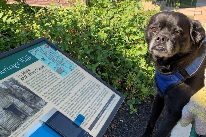 Mysteries on the Move: Scavenger Hunt in Boston - How Much History You’ll Get (And How to Make It Work for You)
