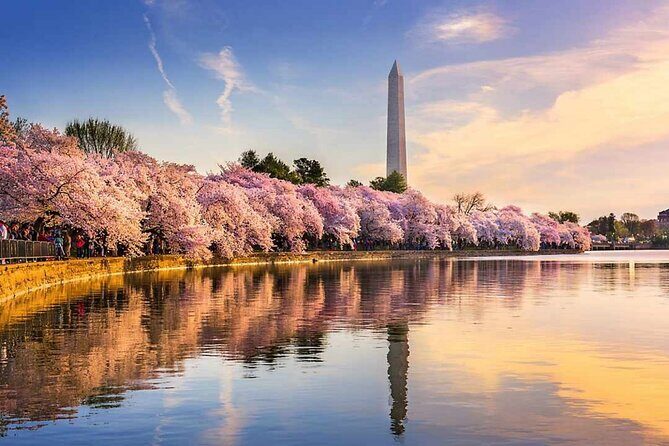 Washington D.C. Cherry Blossom,Baltimore 3-Day Tour from Boston - Key points worth knowing
