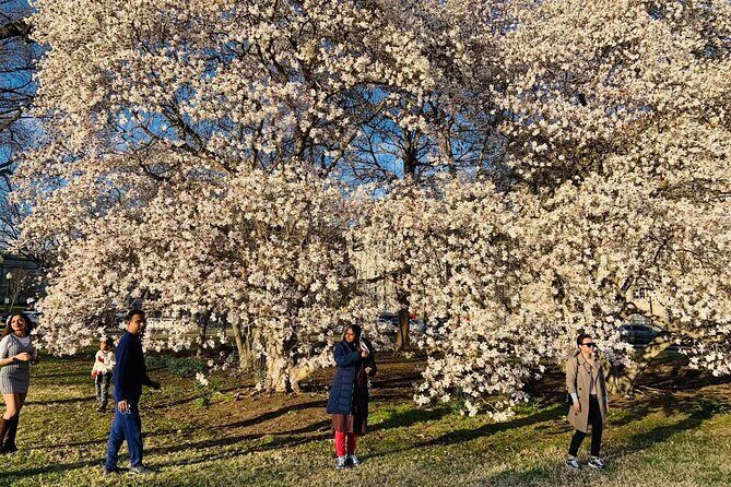 Washington D.C. Cherry Blossom,Baltimore 3-Day Tour from Boston - What’s Included in the Price (and What You’ll Pay On Your Own)